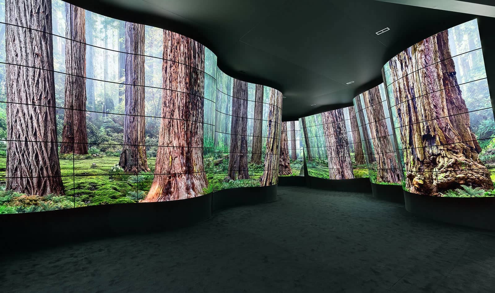 Колаж OLED Дисплеї