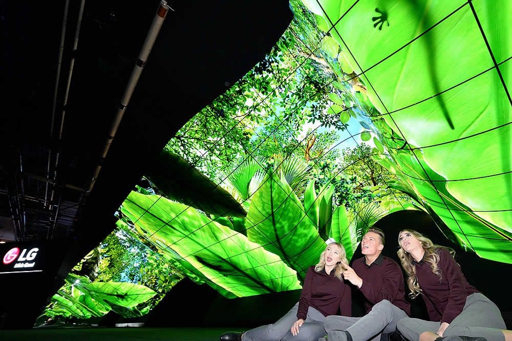 Інсталяція Нова Хвиля з дисплеями OLED від LG, 2020 рік